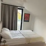 Beskidview 1 * Meszna